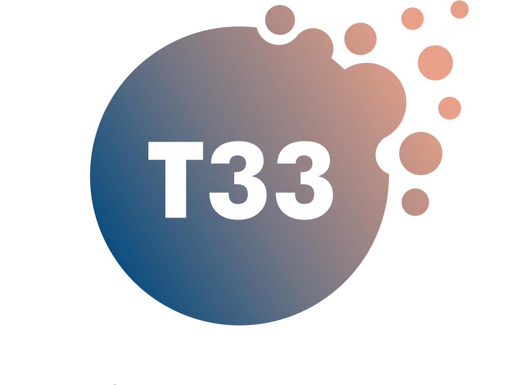 T33 Logo